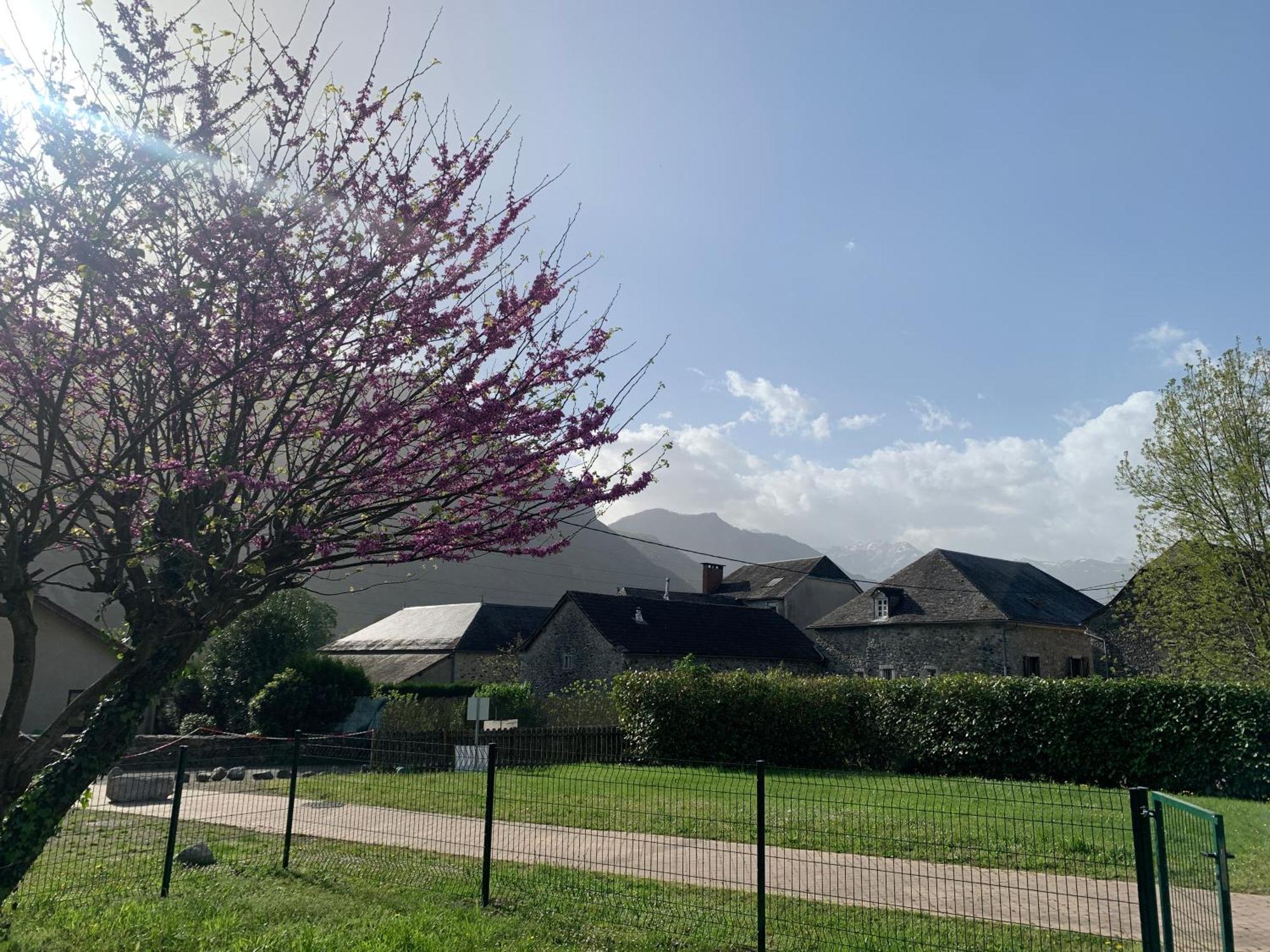 La Suite Unique - Le Jardin Sur Les Pyrenees- Vue Panoramique Montagne -Jardin Cloture Prive De 100M2-Parking-Linge De Lit Et Serviettes Compris- Bielle Εξωτερικό φωτογραφία