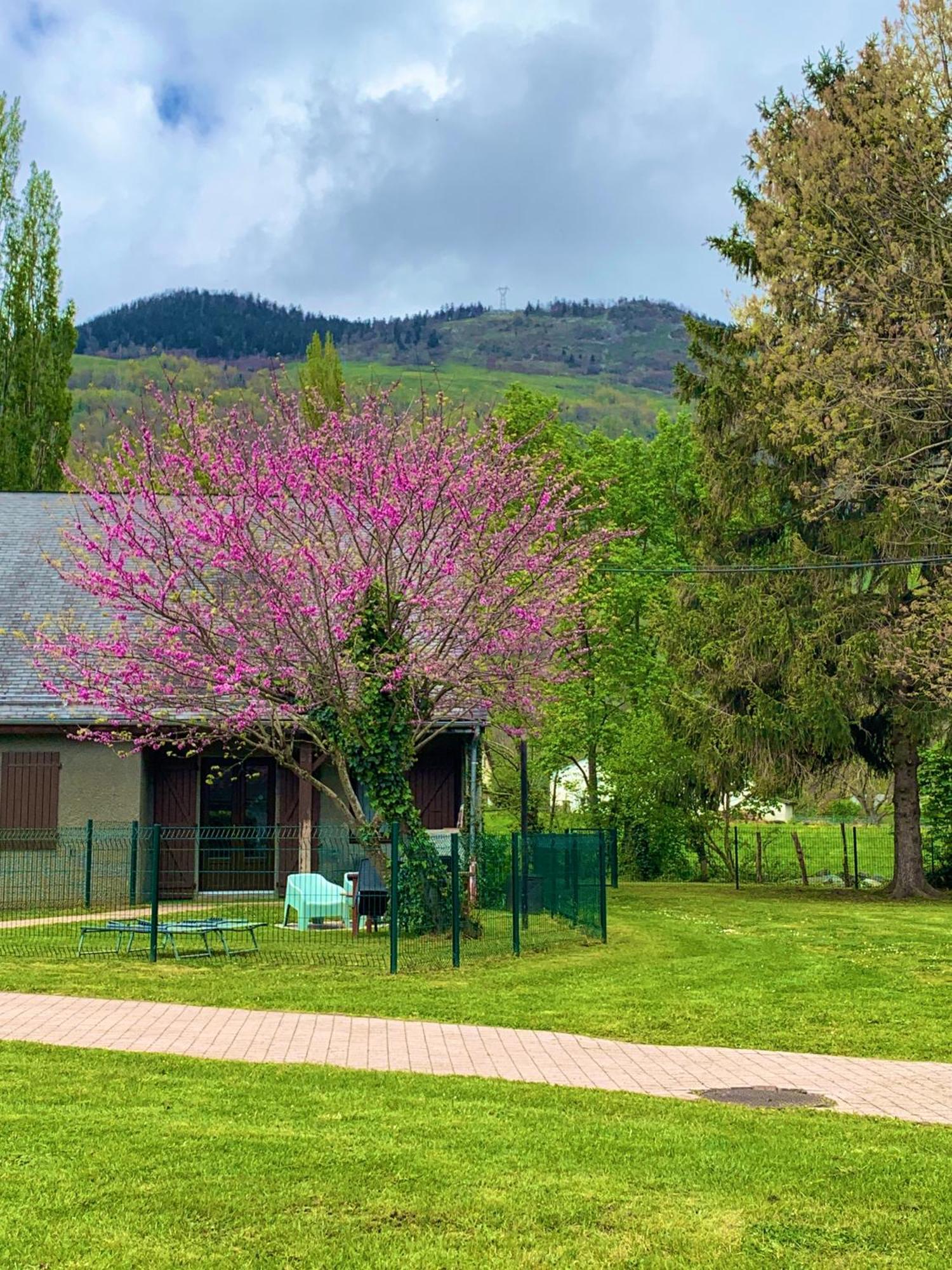 La Suite Unique - Le Jardin Sur Les Pyrenees- Vue Panoramique Montagne -Jardin Cloture Prive De 100M2-Parking-Linge De Lit Et Serviettes Compris- Bielle Εξωτερικό φωτογραφία